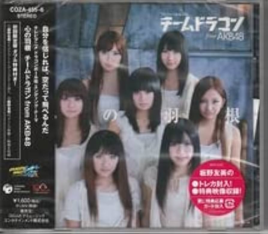 チームドラゴン from AKB48 心の羽根 DVD付き Amazon.co.jp: チームドラゴン from AKB48 さん 心の羽根 初回